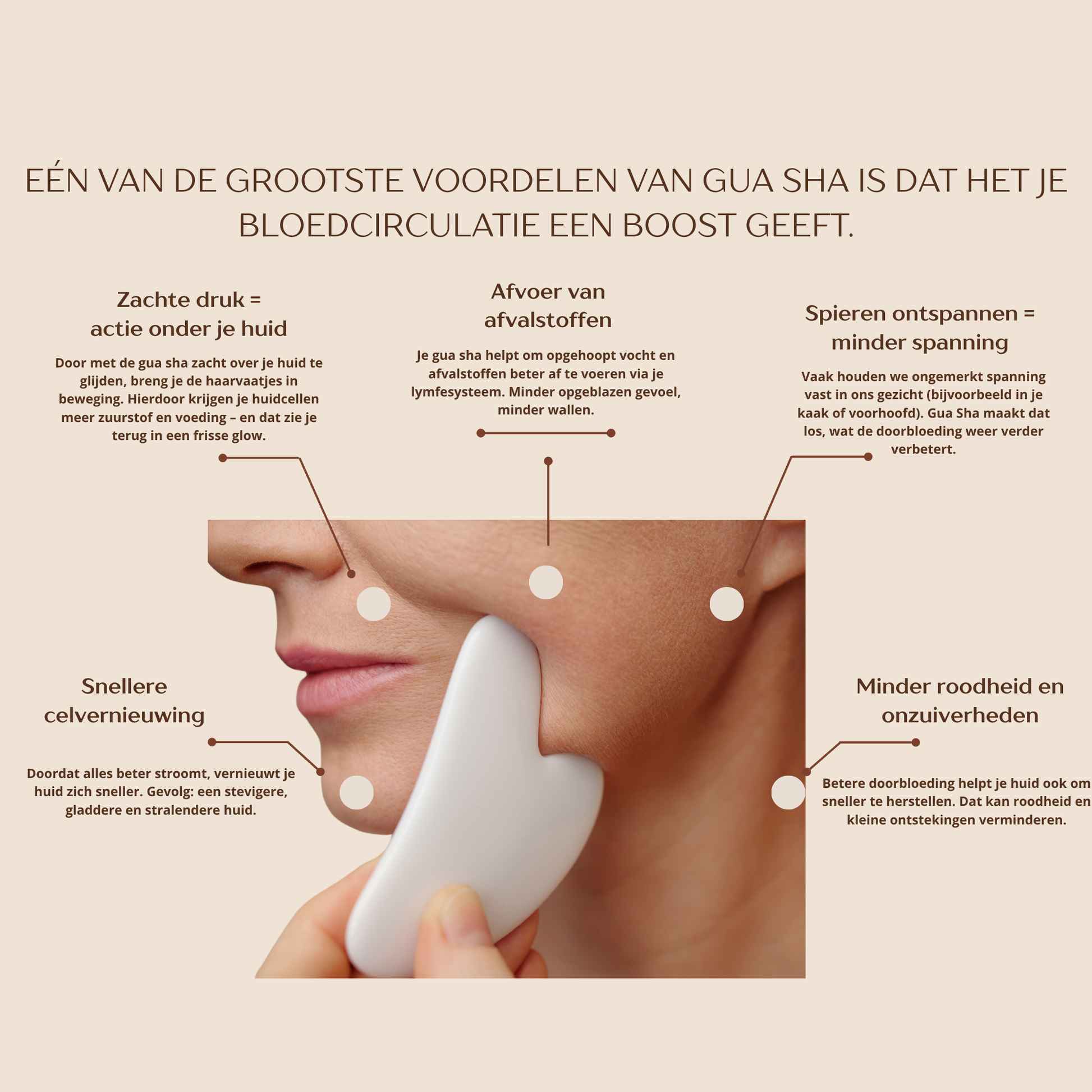 Anti-aging course: Gua Sha lifting routine